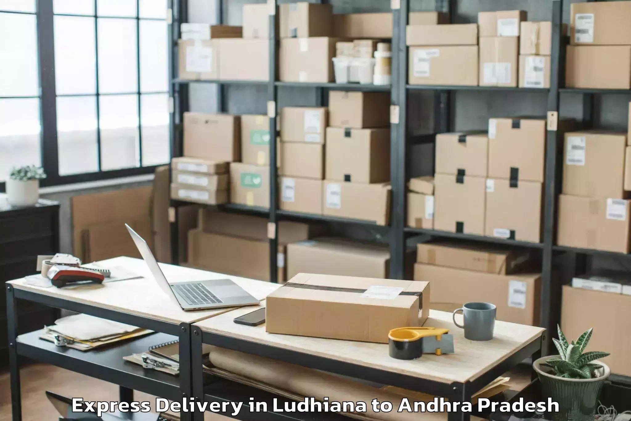 Professional Ludhiana to Buchinaidu Kandriga Express Delivery